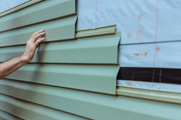 Best Custom Trim and Detailing for Siding  in Mount Pleasant, MI